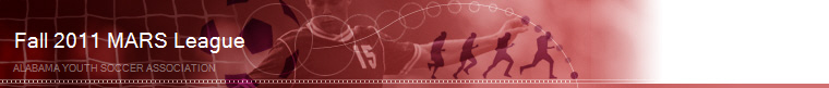 Alabama Youth Soccer Association banner